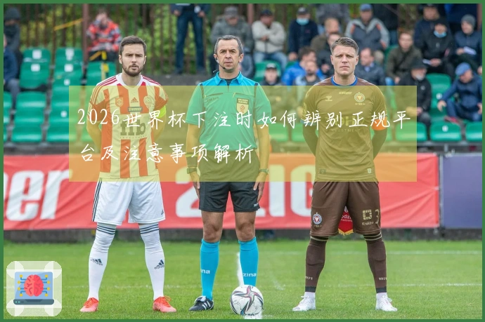 2026世界杯下注时如何辨别正规平台及注意事项解析